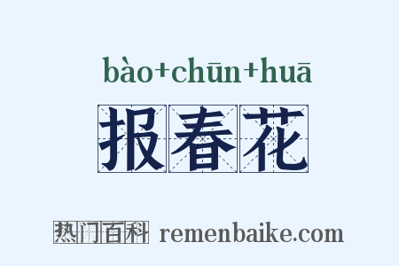 报春花是什么意思的图片